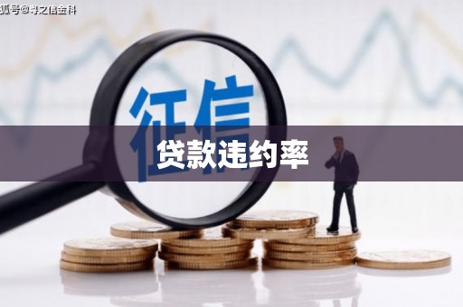 溪口贷款违约率