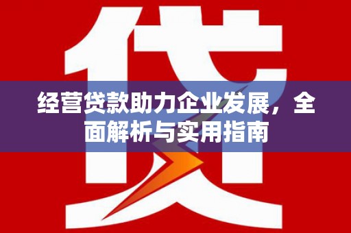 溪口经营贷款助力企业发展，全面解析与实用指南