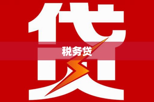 溪口税务贷