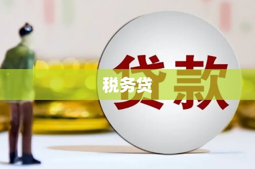 溪口税务贷