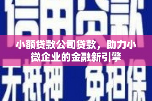 溪口小额贷款公司贷款，助力小微企业的金融新引擎