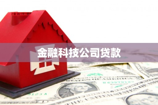 溪口金融科技公司贷款