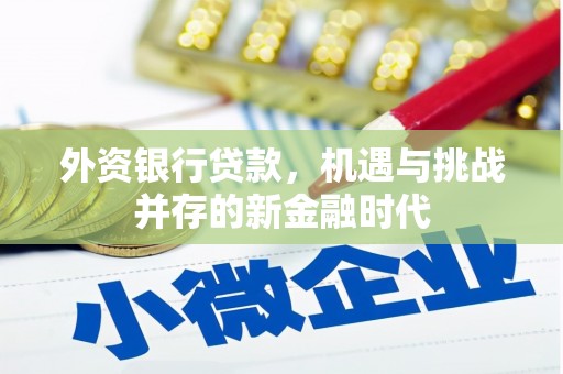 溪口外资银行贷款，机遇与挑战并存的新金融时代