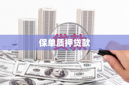 溪口保单质押贷款