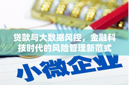 溪口贷款与大数据风控，金融科技时代的风险管理新范式