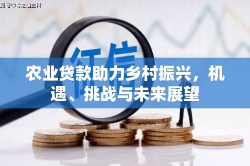 溪口农业贷款助力乡村振兴，机遇、挑战与未来展望