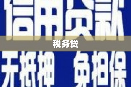 溪口税务贷