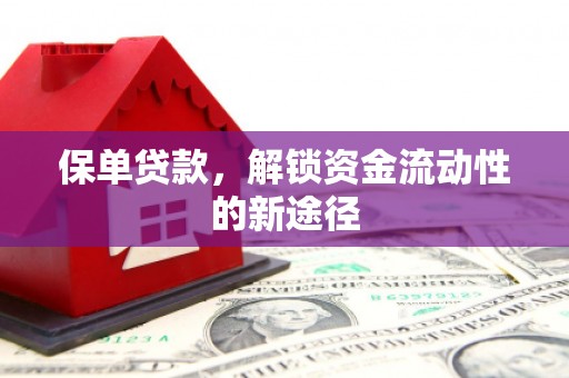 溪口保单贷款，解锁资金流动性的新途径