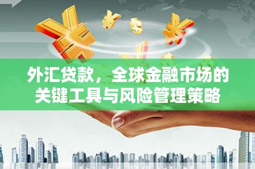 溪口外汇贷款，全球金融市场的关键工具与风险管理策略