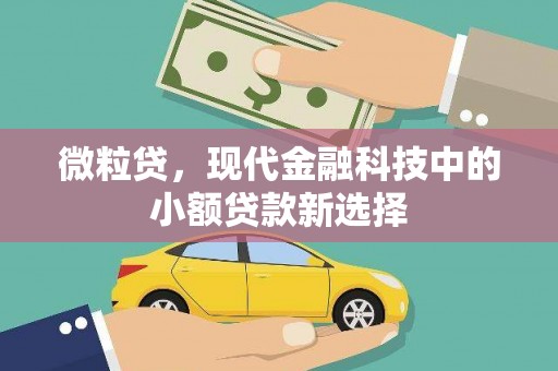 溪口微粒贷，现代金融科技中的小额贷款新选择