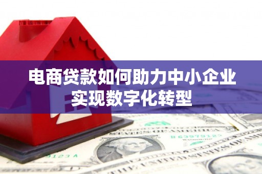 溪口电商贷款如何助力中小企业实现数字化转型