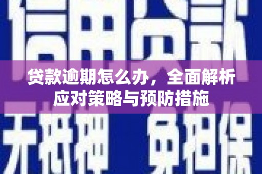 溪口贷款逾期怎么办，全面解析应对策略与预防措施