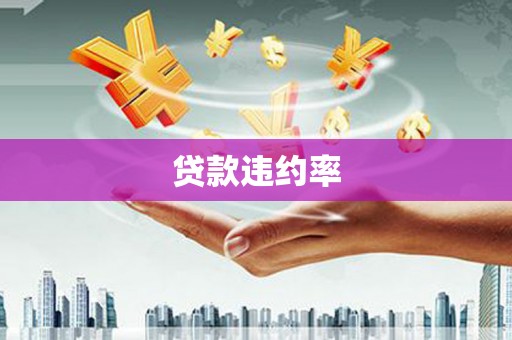 溪口贷款违约率