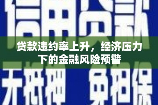 溪口贷款违约率上升，经济压力下的金融风险预警