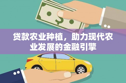 溪口贷款农业种植，助力现代农业发展的金融引擎