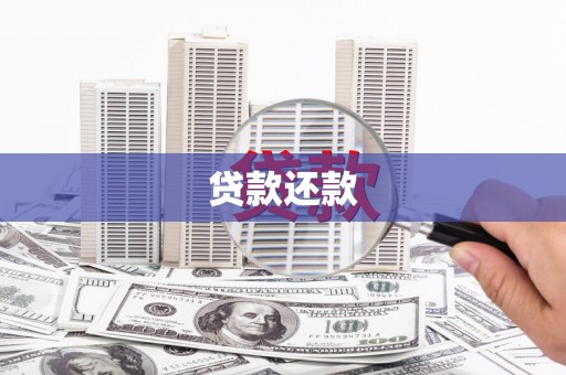 溪口贷款还款