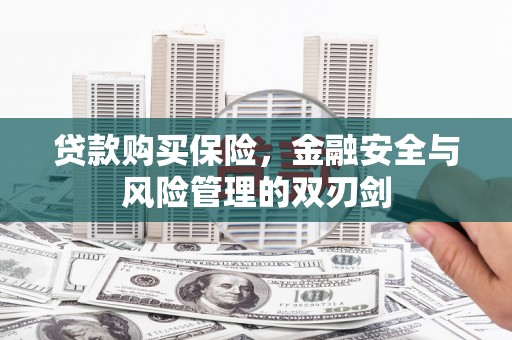 溪口贷款购买保险，金融安全与风险管理的双刃剑