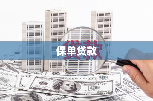 溪口保单贷款