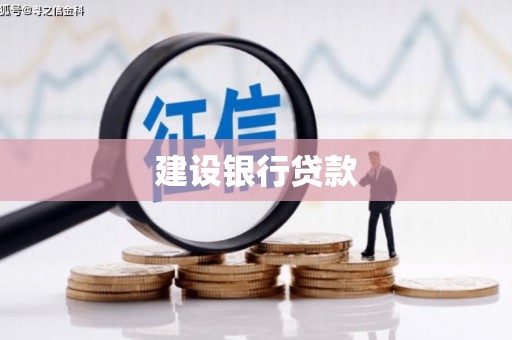 溪口建设银行贷款
