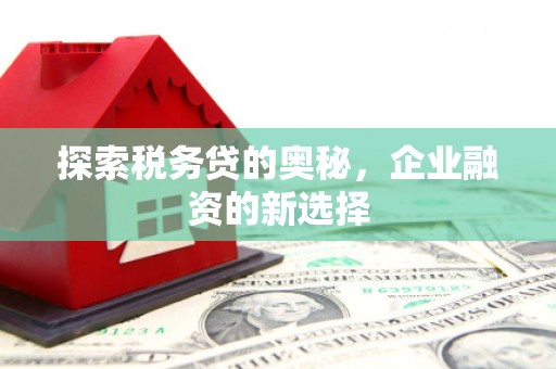 溪口探索税务贷的奥秘，企业融资的新选择