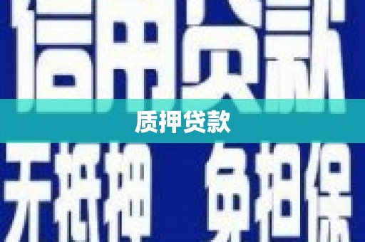 溪口质押贷款