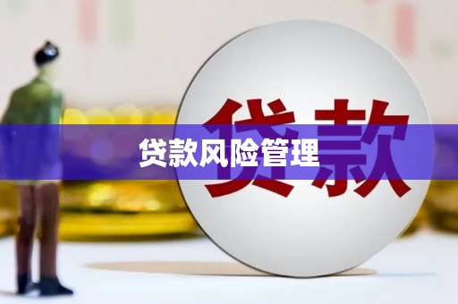 溪口贷款风险管理