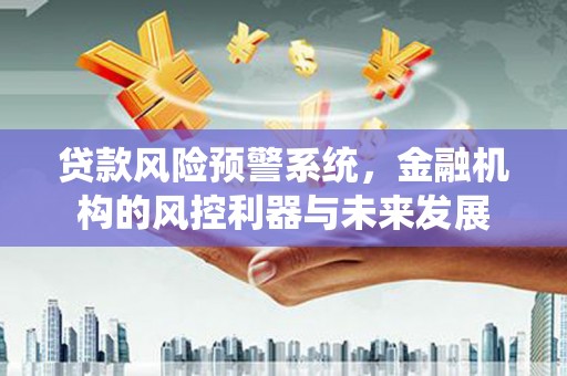 溪口贷款风险预警系统，金融机构的风控利器与未来发展