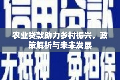 溪口农业贷款助力乡村振兴，政策解析与未来发展