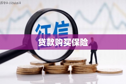 溪口贷款购买保险