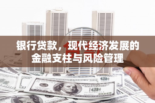 溪口银行贷款，现代经济发展的金融支柱与风险管理