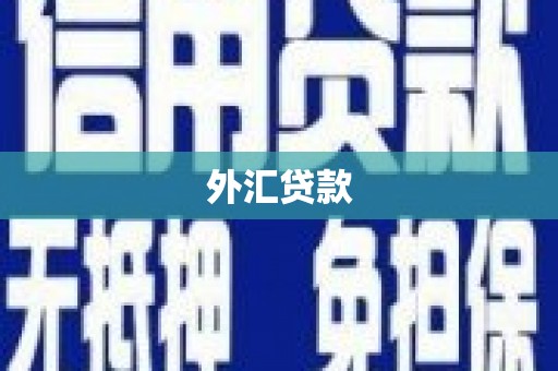 溪口外汇贷款