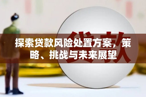 溪口探索贷款风险处置方案，策略、挑战与未来展望