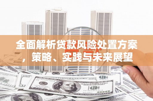 溪口全面解析贷款风险处置方案，策略、实践与未来展望