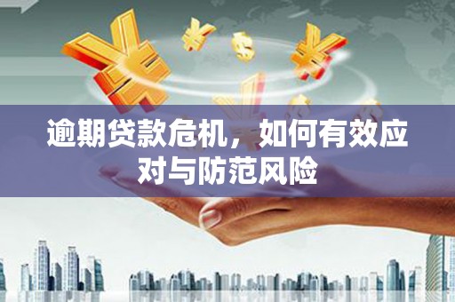 溪口逾期贷款危机，如何有效应对与防范风险