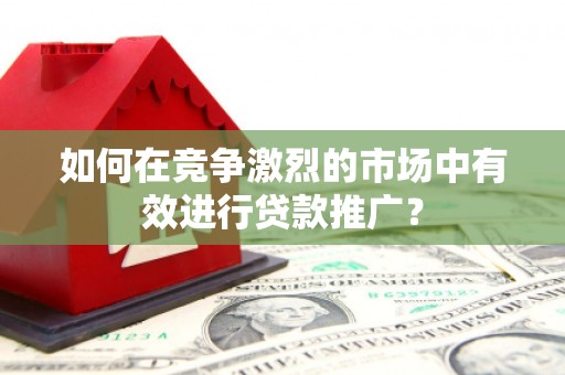 溪口如何在竞争激烈的市场中有效进行贷款推广？
