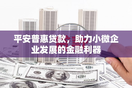 溪口平安普惠贷款，助力小微企业发展的金融利器