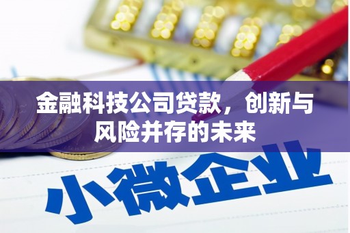 溪口金融科技公司贷款，创新与风险并存的未来