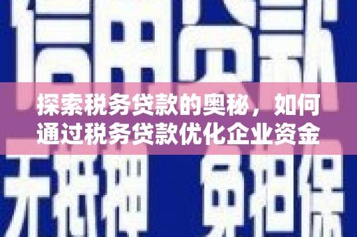 溪口探索税务贷款的奥秘，如何通过税务贷款优化企业资金流
