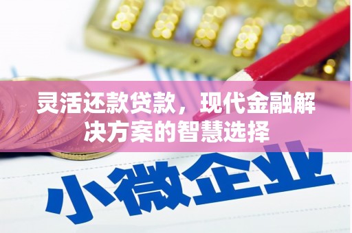 溪口灵活还款贷款，现代金融解决方案的智慧选择