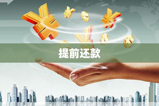溪口提前还款