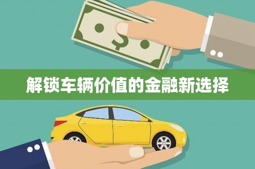 溪口解锁车辆价值的金融新选择