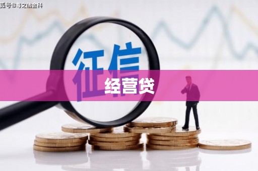 溪口经营贷