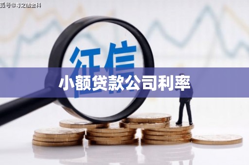 溪口小额贷款公司利率