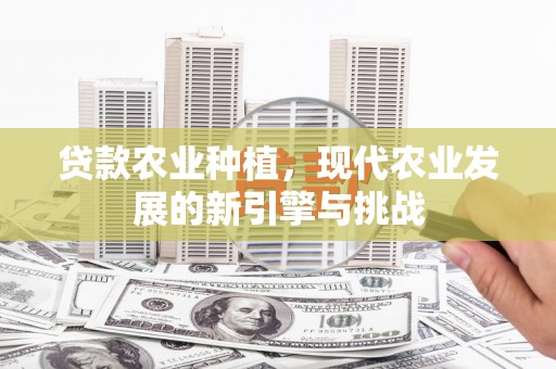 溪口贷款农业种植，现代农业发展的新引擎与挑战