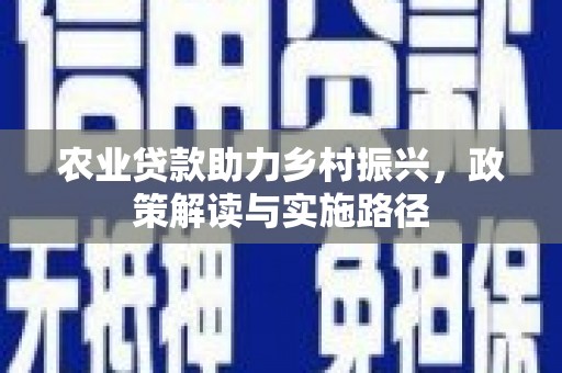 溪口农业贷款助力乡村振兴，政策解读与实施路径