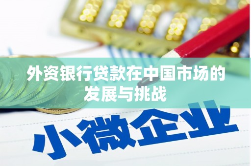 溪口外资银行贷款在中国市场的发展与挑战