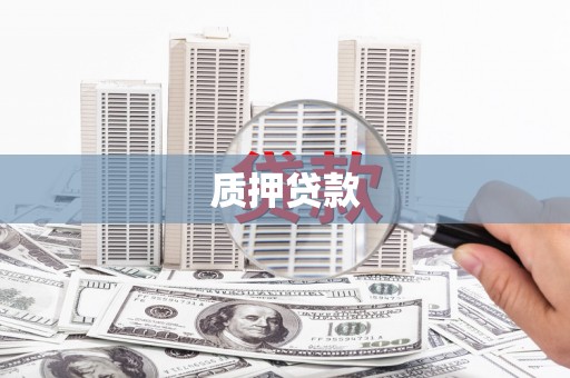 溪口质押贷款