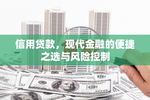 溪口信用贷款，现代金融的便捷之选与风险控制