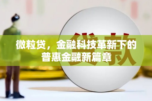 溪口微粒贷，金融科技革新下的普惠金融新篇章