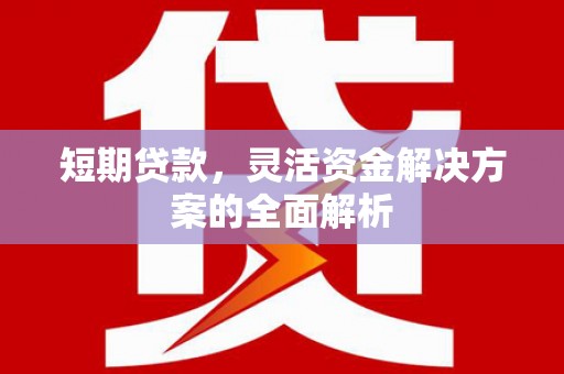 溪口短期贷款，灵活资金解决方案的全面解析